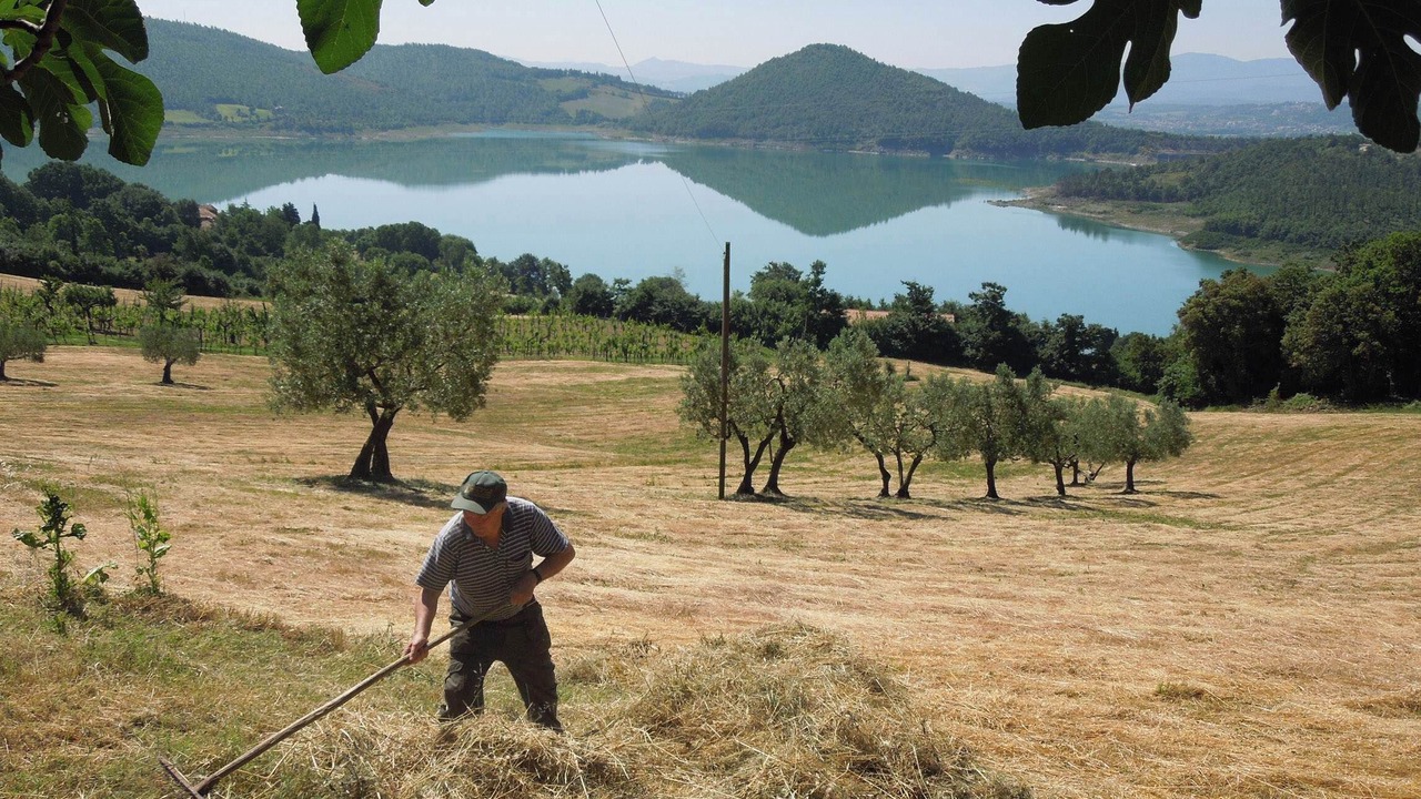 Photo of Others in Pieve Santo Stefano
