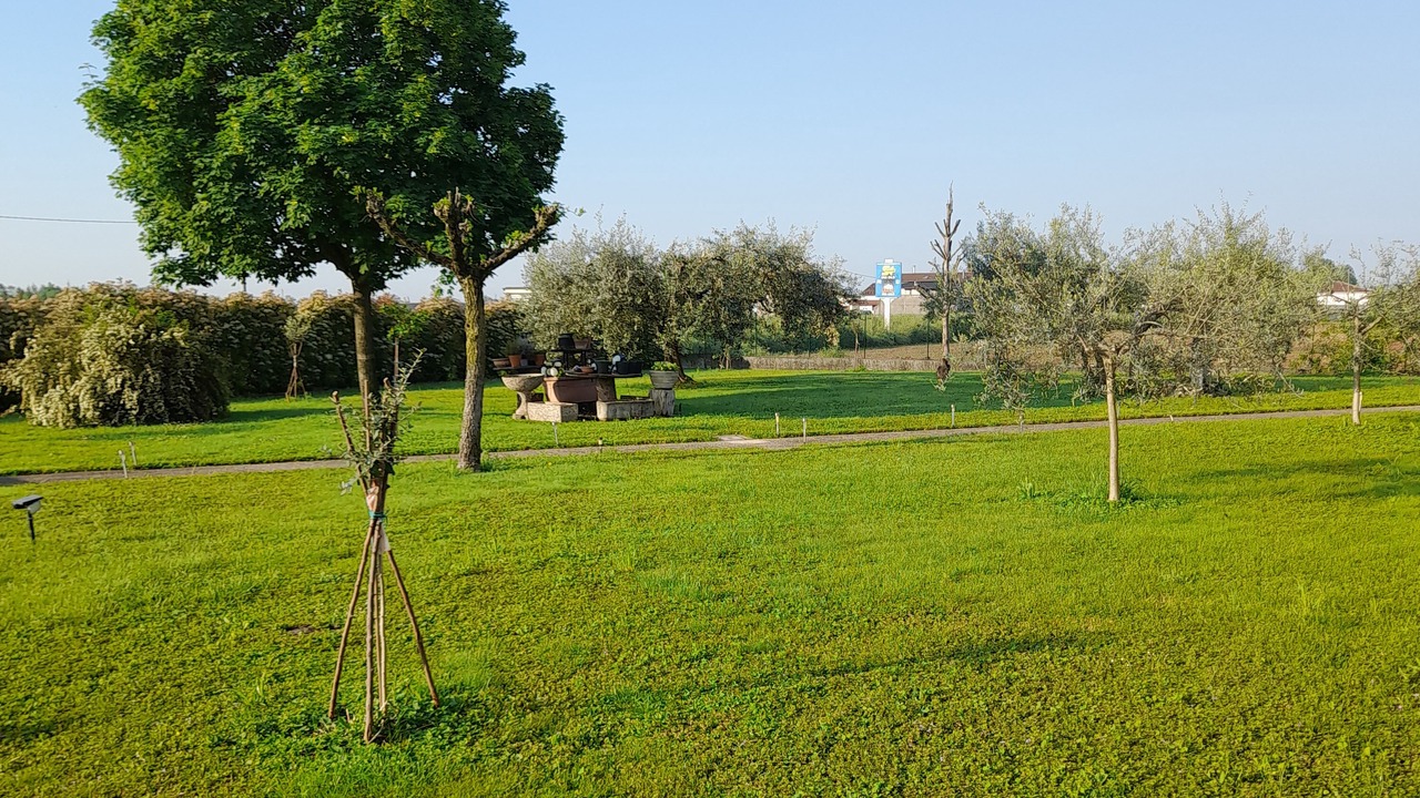 Photo of Others in Villafranca di Verona
