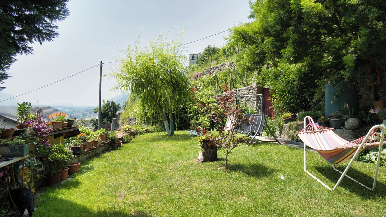 Photo of Outdoor in Traona