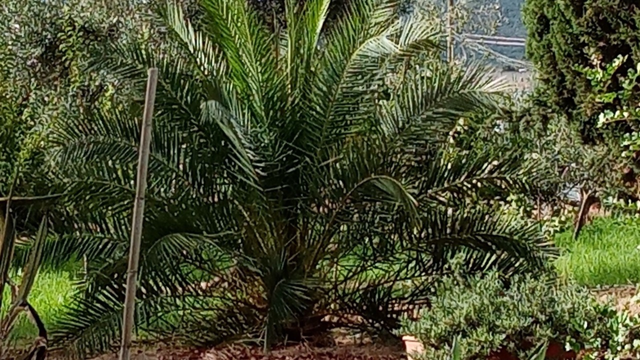 Photo of Outdoor in Iglesias Historic Centre