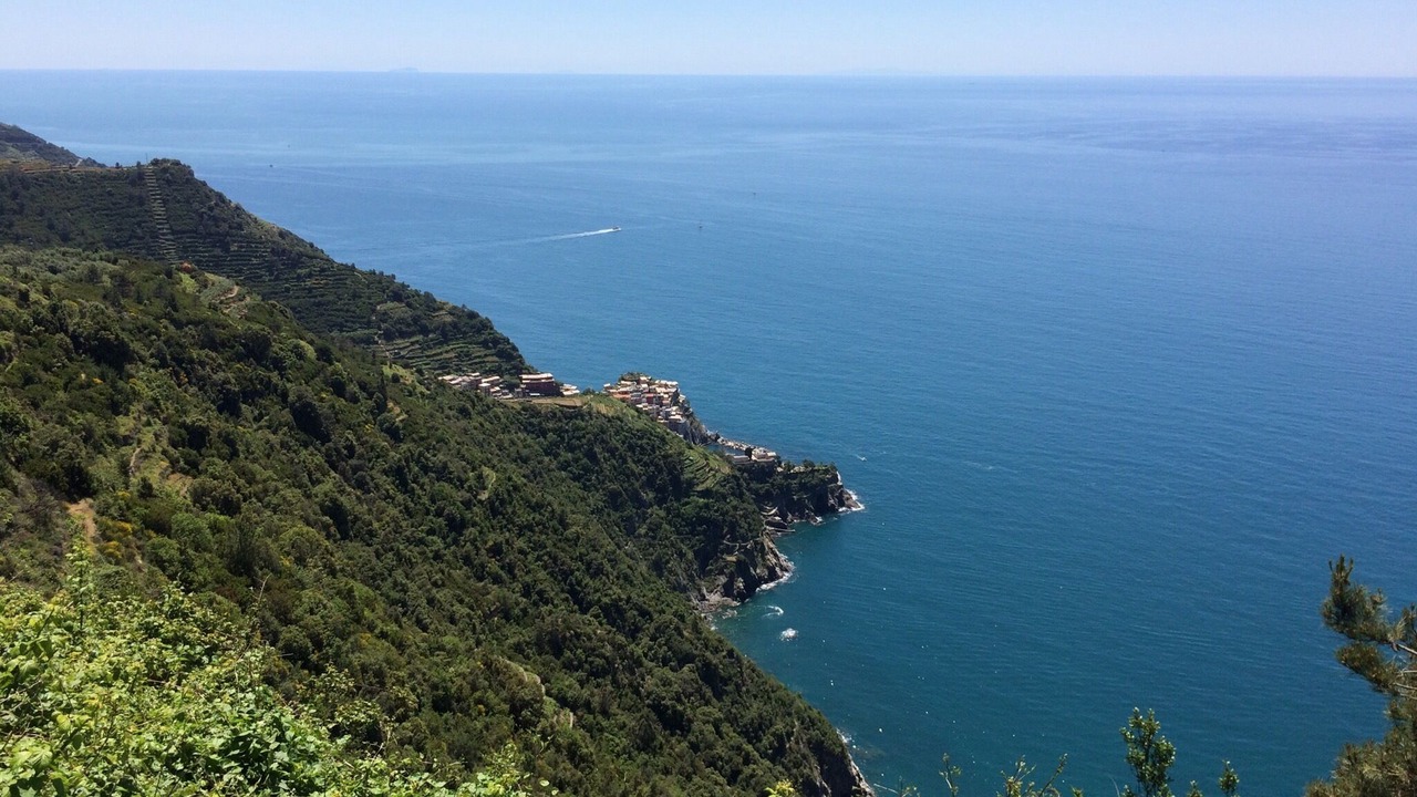 Photo of Others in Manarola