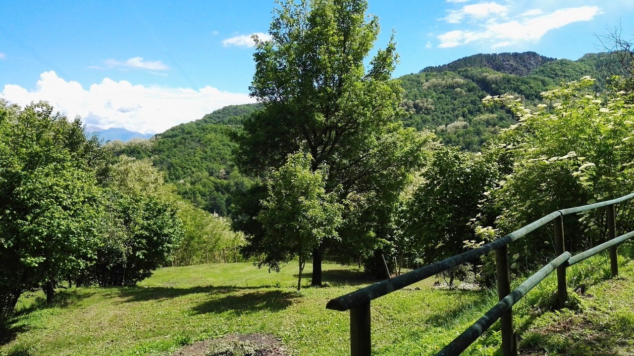 Photo of Others in Mulazzo