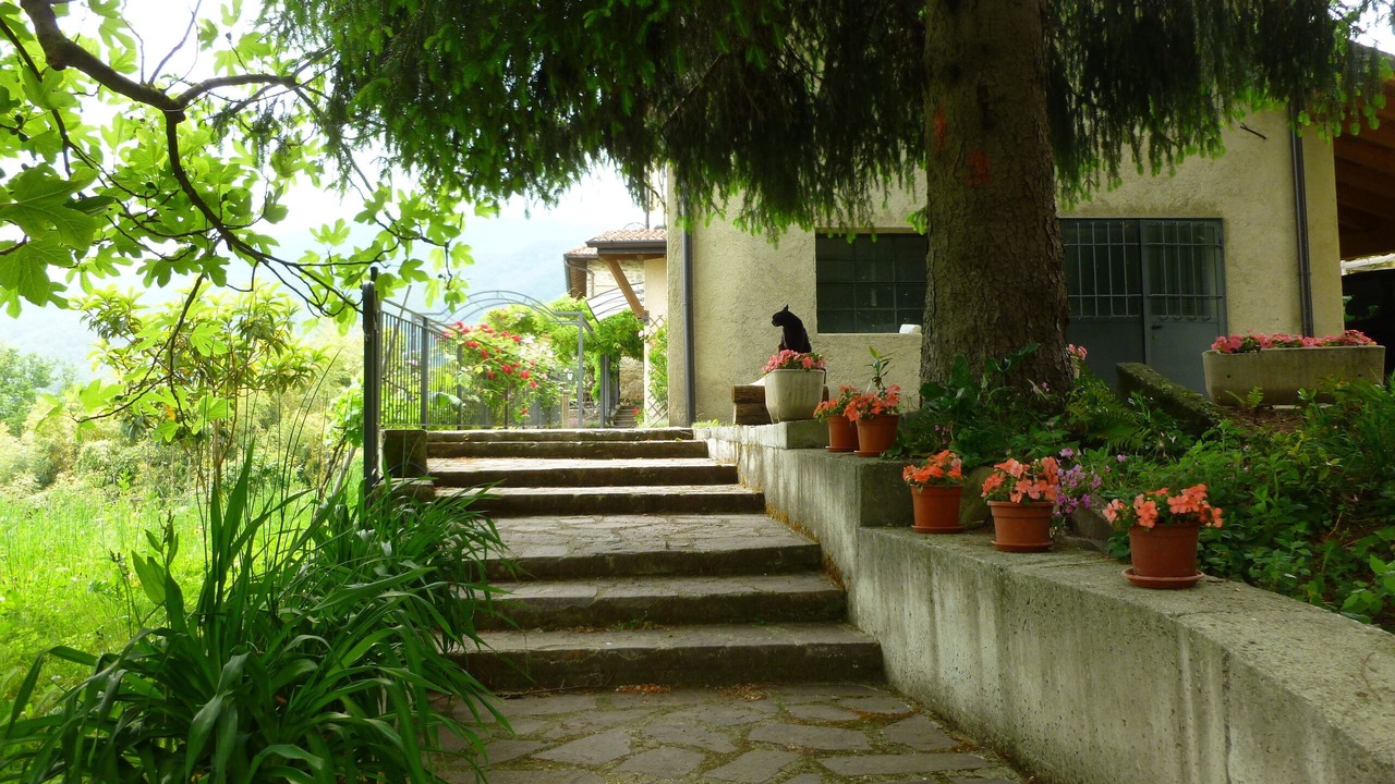 Photo of Outdoor in Mulazzo