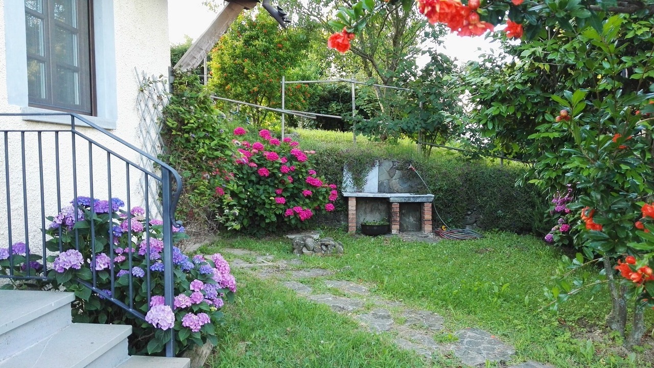 Photo of Outdoor in Mulazzo