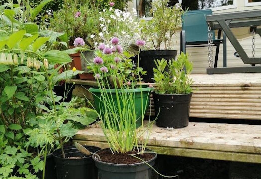 Photo of Patio Balcony in Armoy