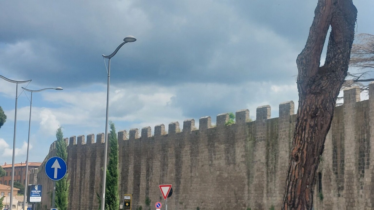 Photo of Others in Viterbo