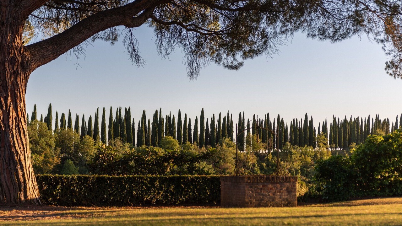 Photo of Outdoor in Siena