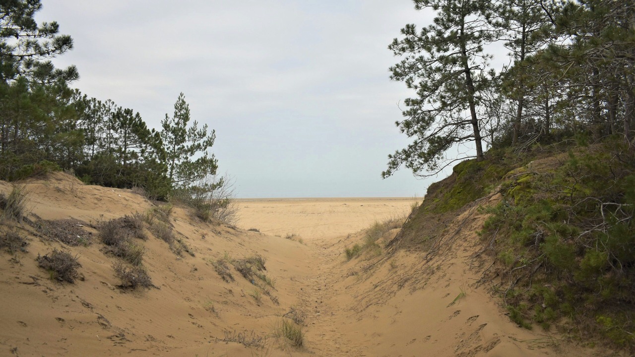 Photo of Others in Lignano Riviera