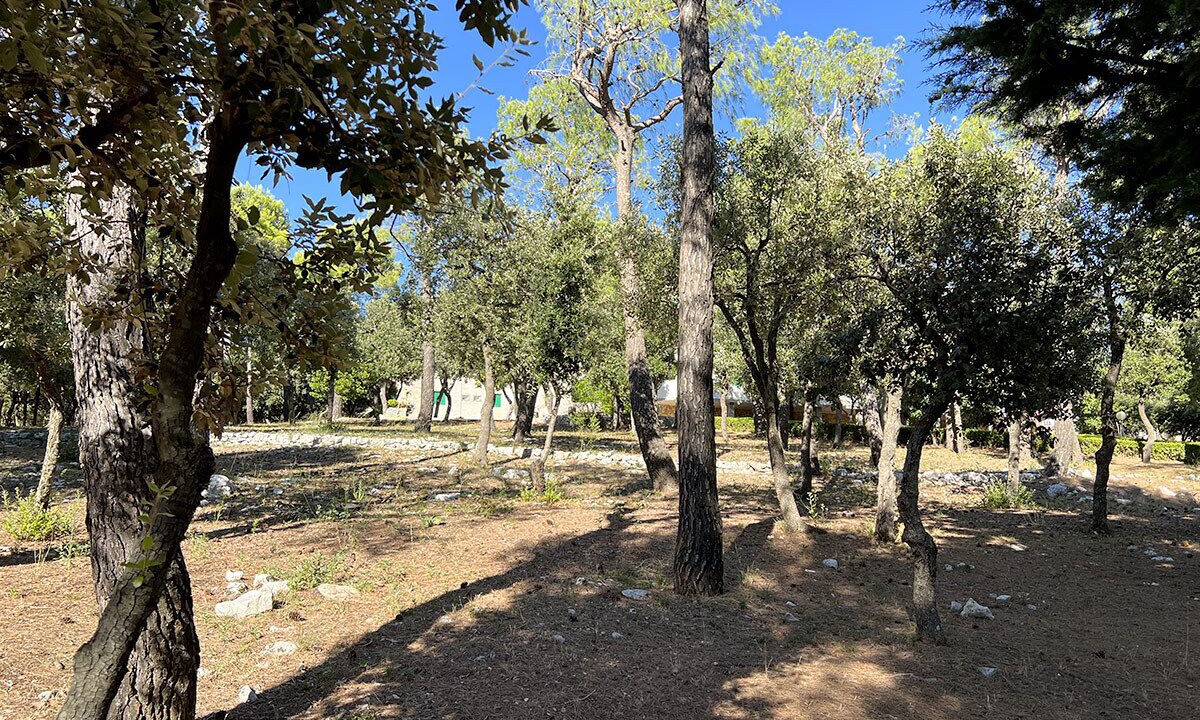 Photo of Outdoor in Selva di Fasano