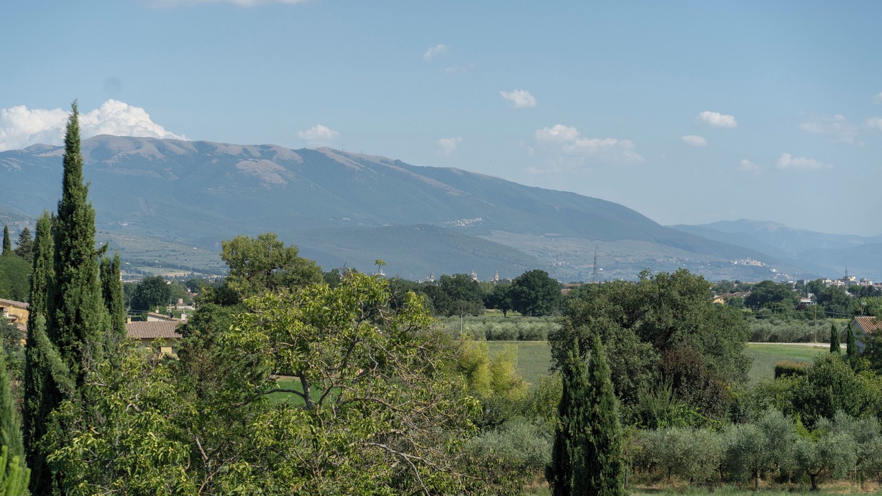 Photo of Others in Spello