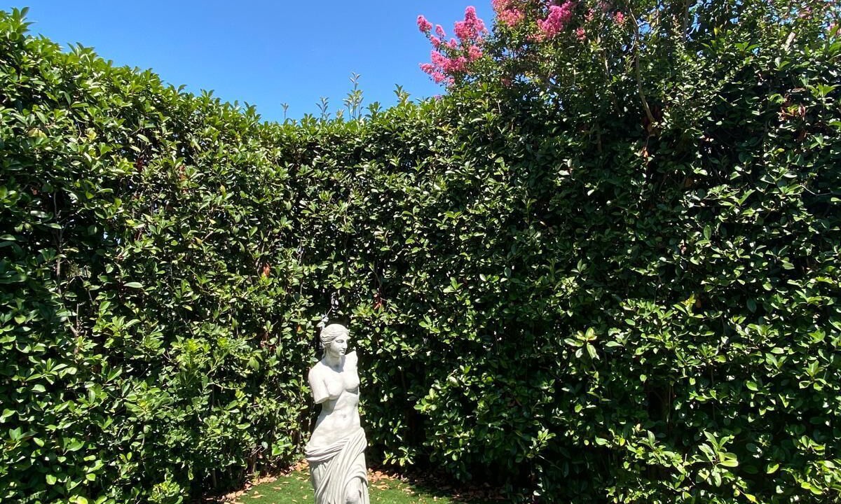 Photo of Outdoor in Settecamini