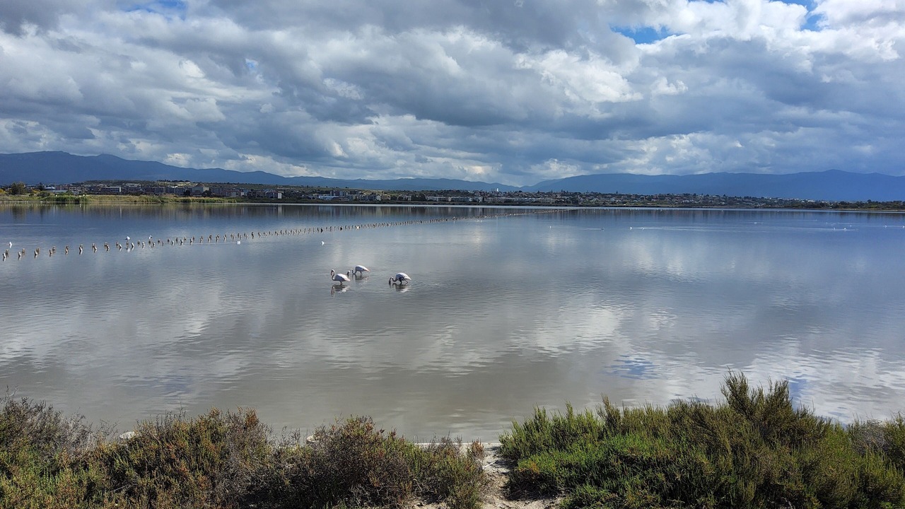 Photo of Others in Province of Cagliari