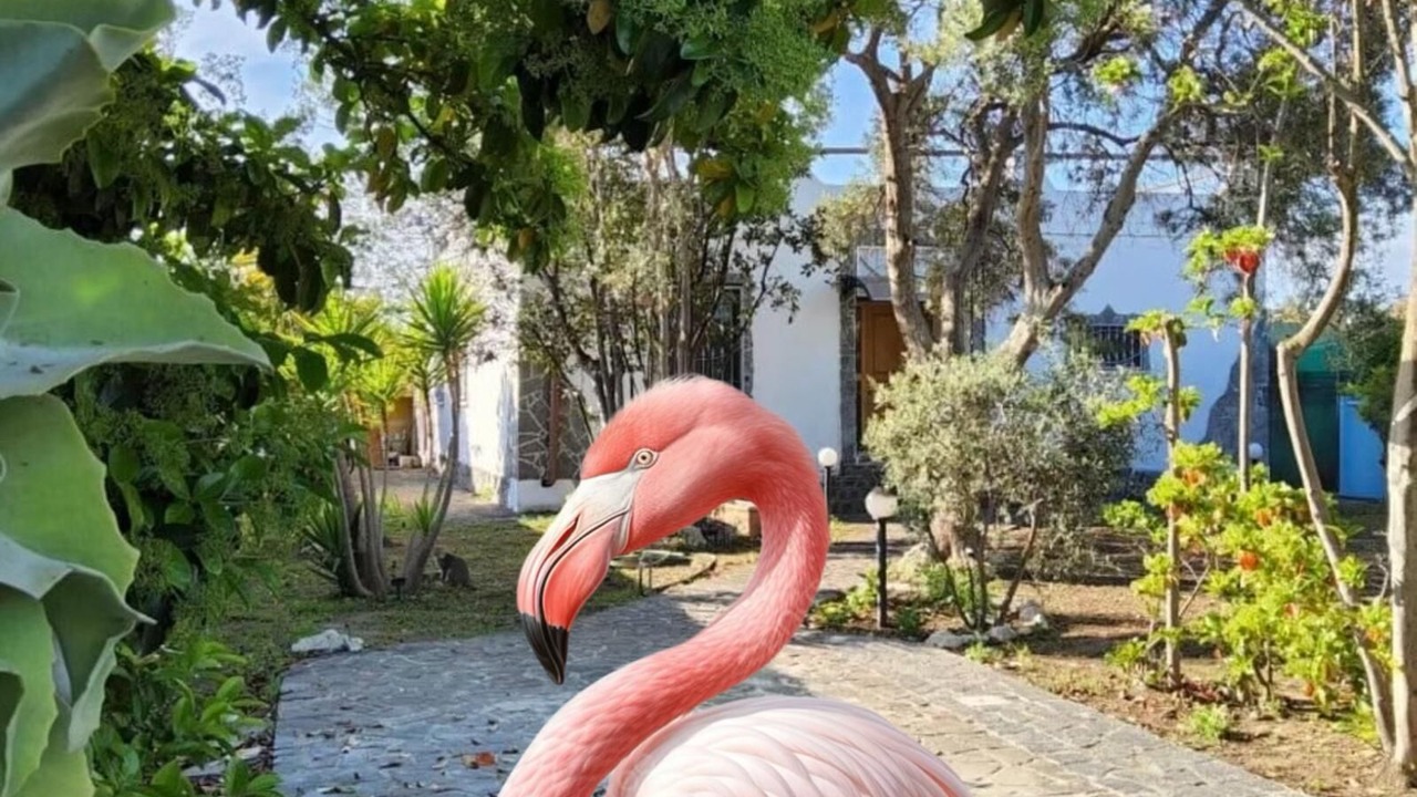 Photo of Outdoor in Province of Cagliari