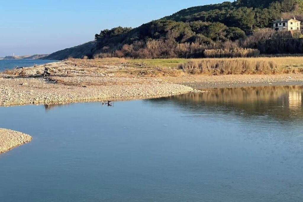 Photo of Others in Vasto