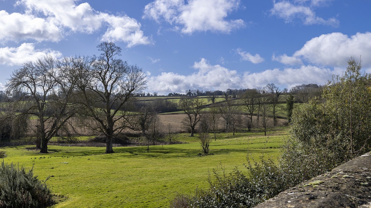 Photo of Others in Broadwell