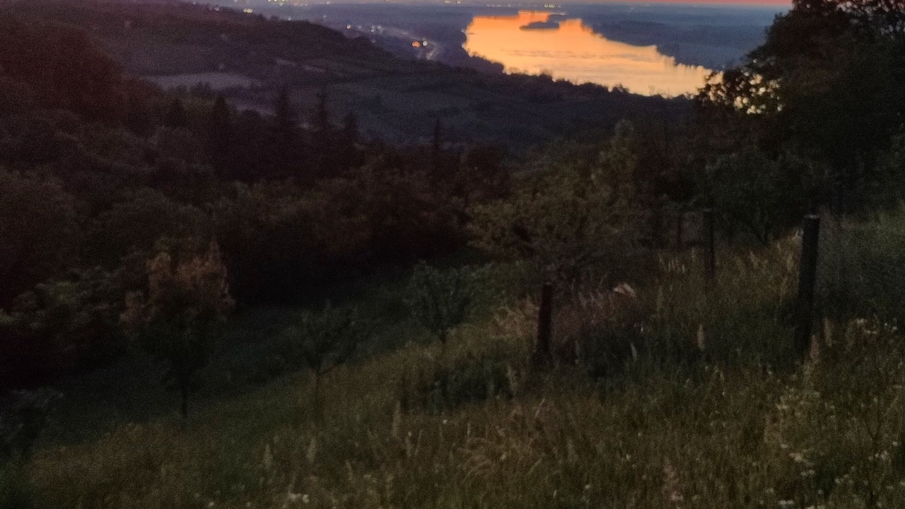 Photo of Others in Sremski Karlovci