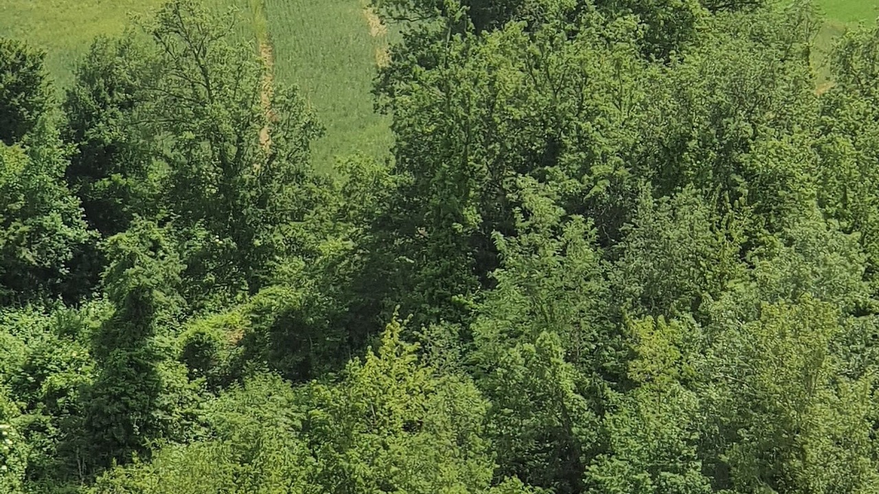 Photo of Others in Civitella Casanova