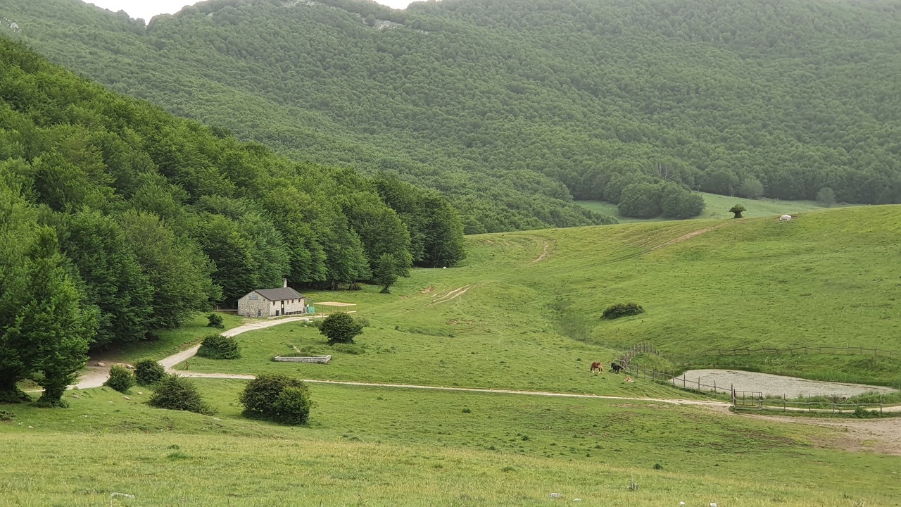 Photo of Others in Civitella Casanova