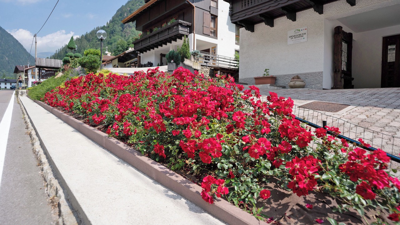 Photo of Outdoor in Pracorno