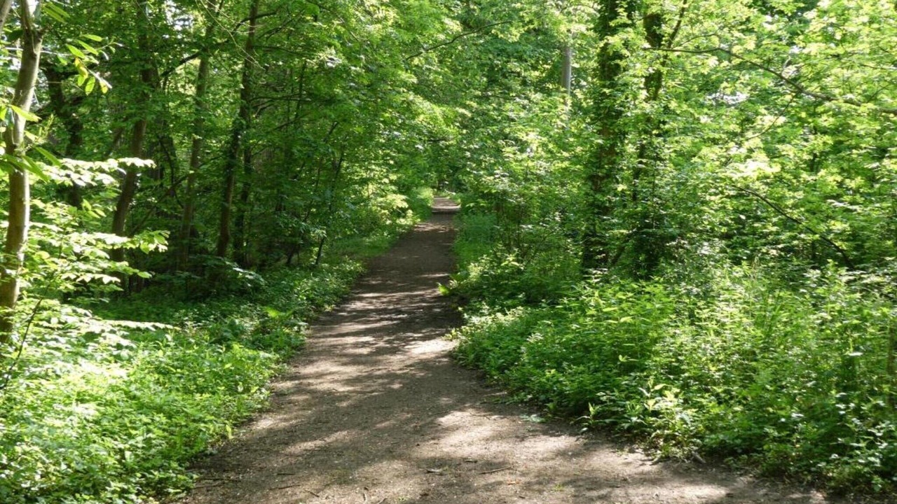 Photo of Others in Brackley