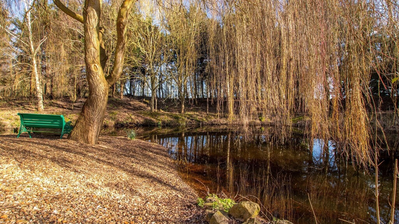 Photo of Outdoor in Little Stukeley
