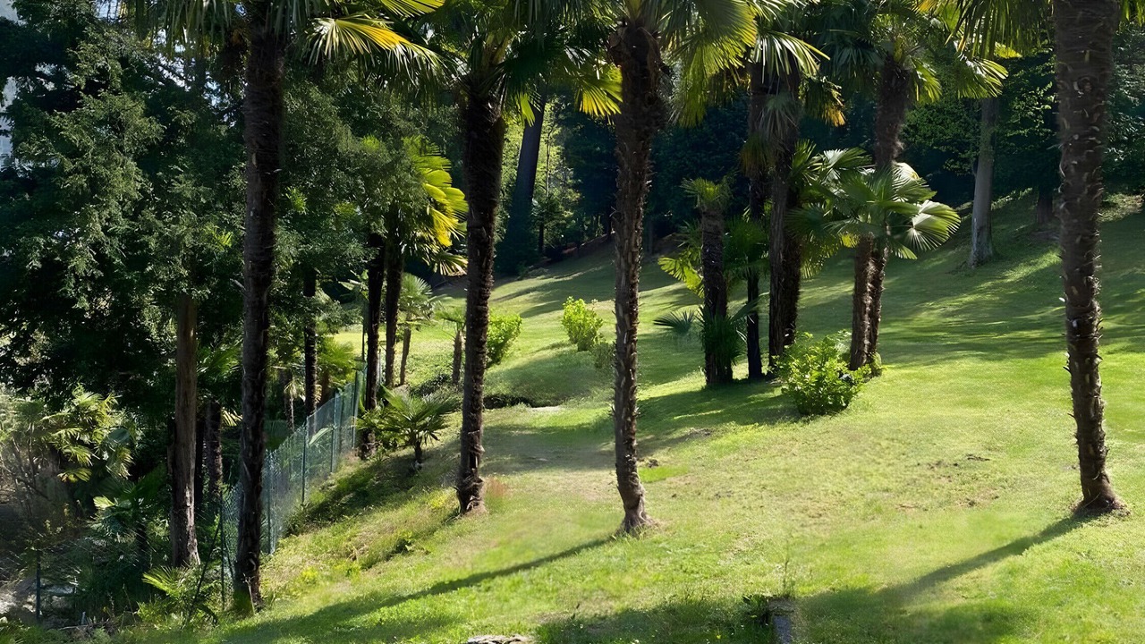 Photo of Outdoor in Laveno Mombello