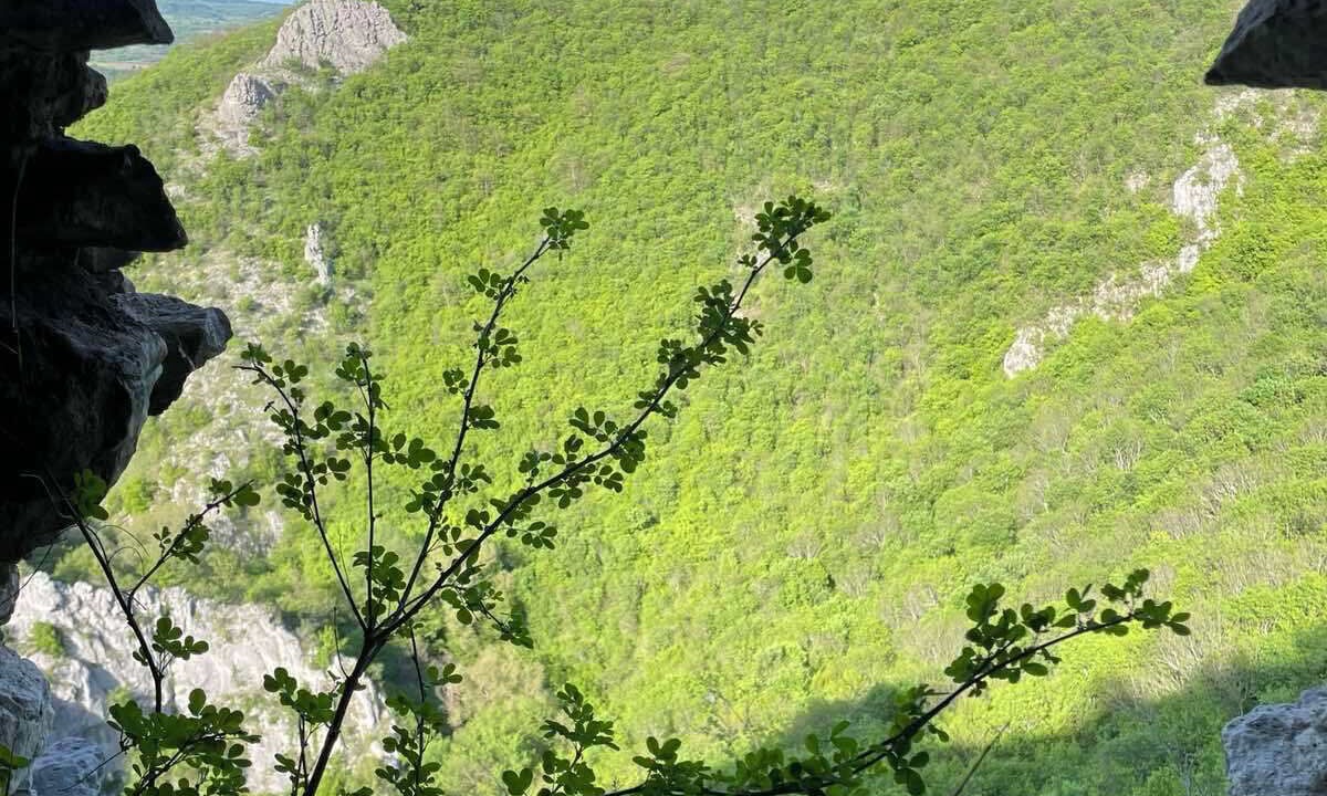 Photo of Others in Soko Banja