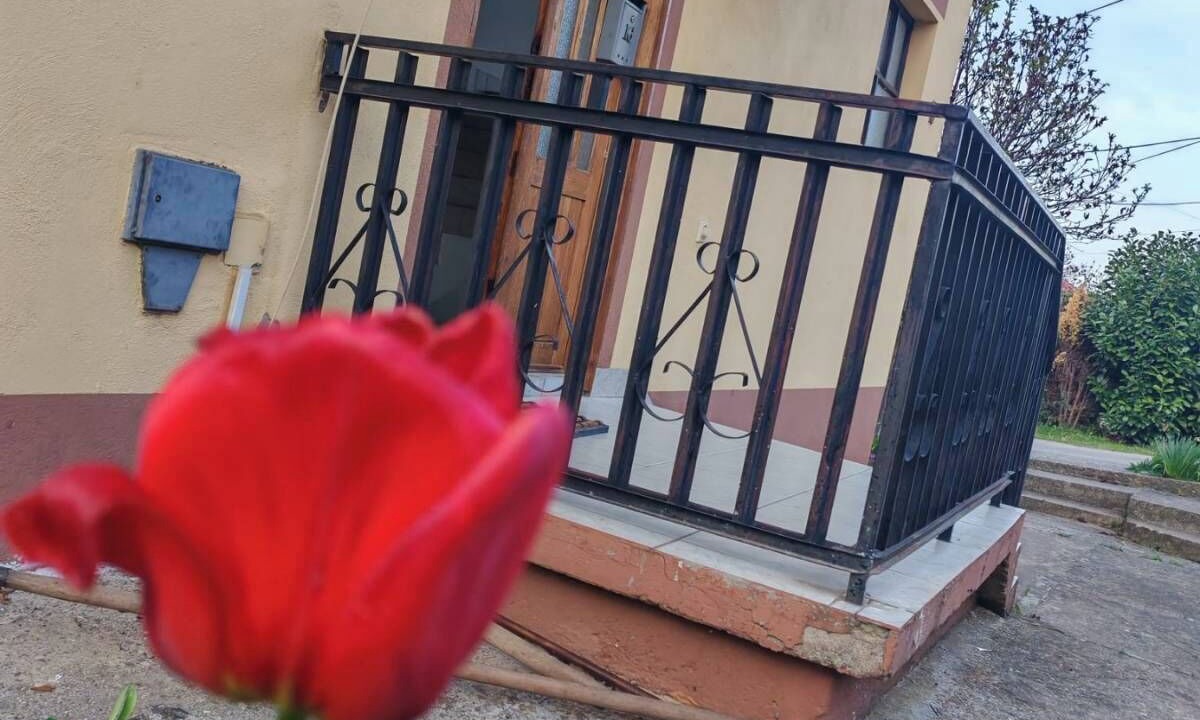 Photo of Outdoor in Soko Banja