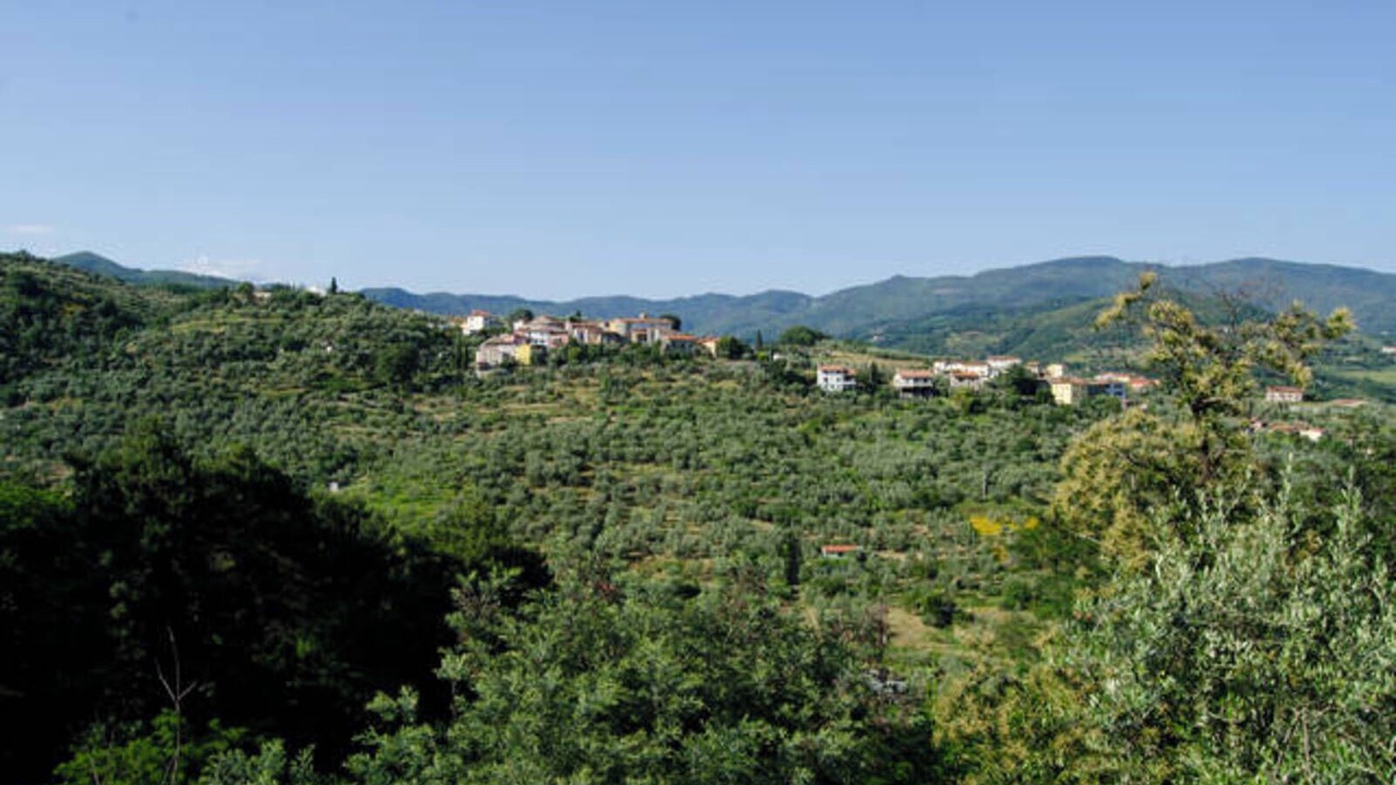 Photo of Others in Saturnana