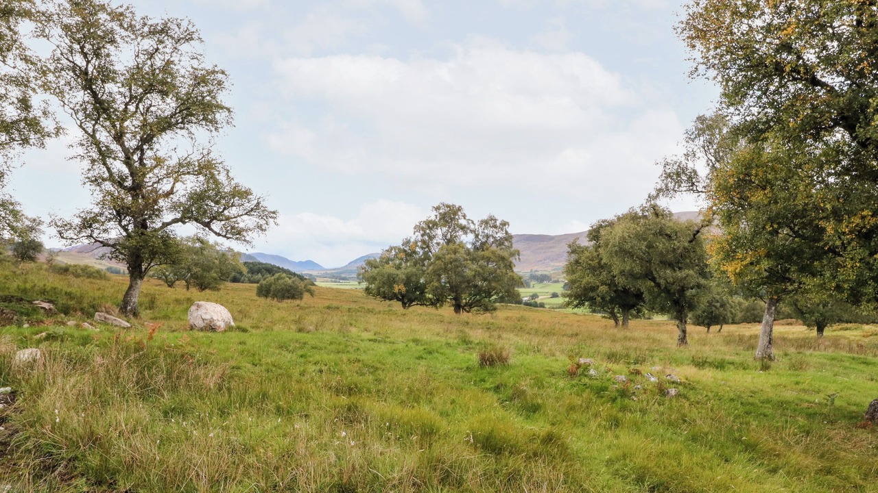 Photo of Others in Newtonmore