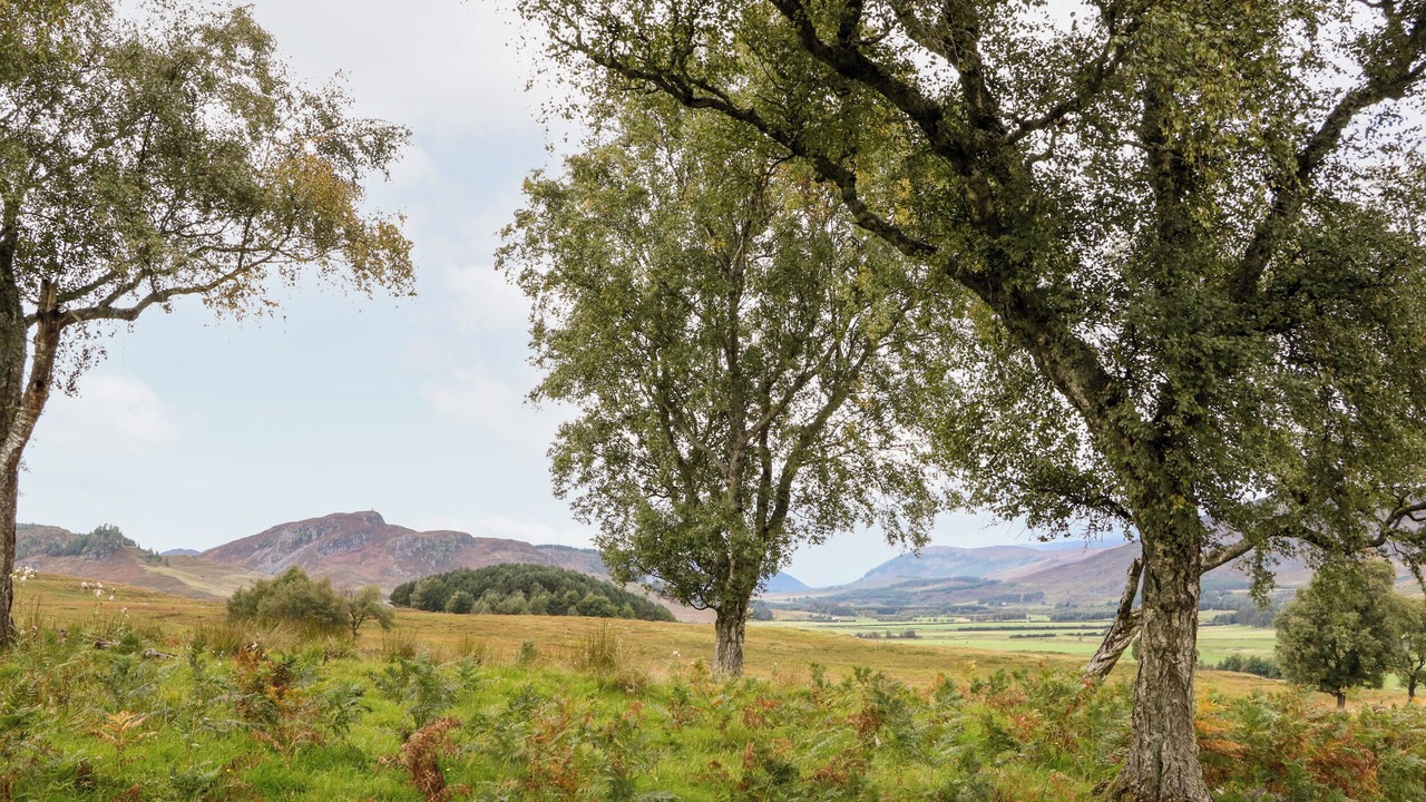 Photo of Others in Newtonmore