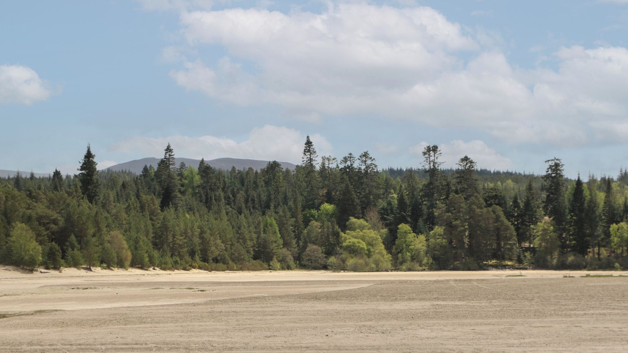 Photo of Others in Newtonmore