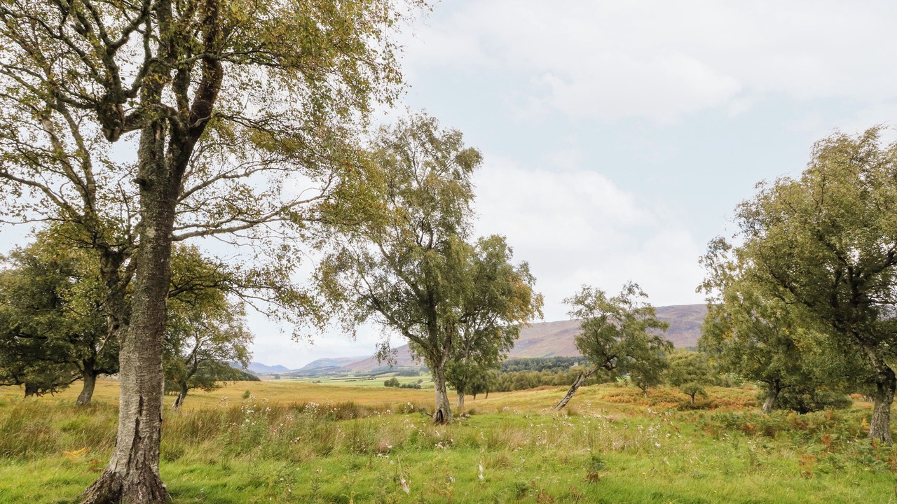 Photo of Others in Newtonmore