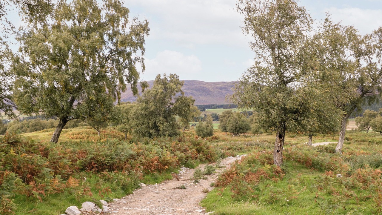Photo of Others in Newtonmore