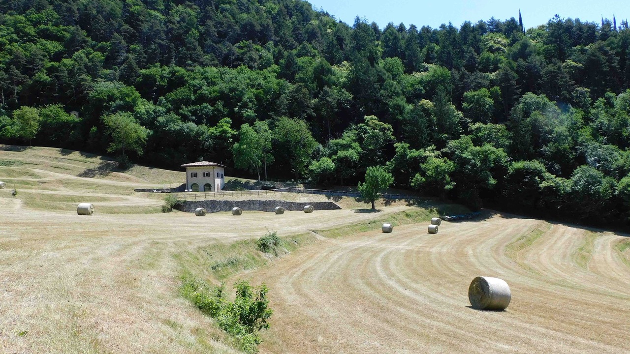 Photo of Others in Gardola