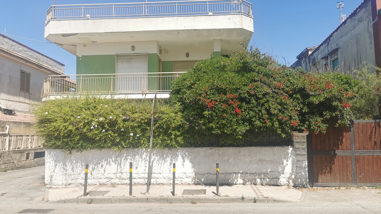 Photo of Outdoor in Licola