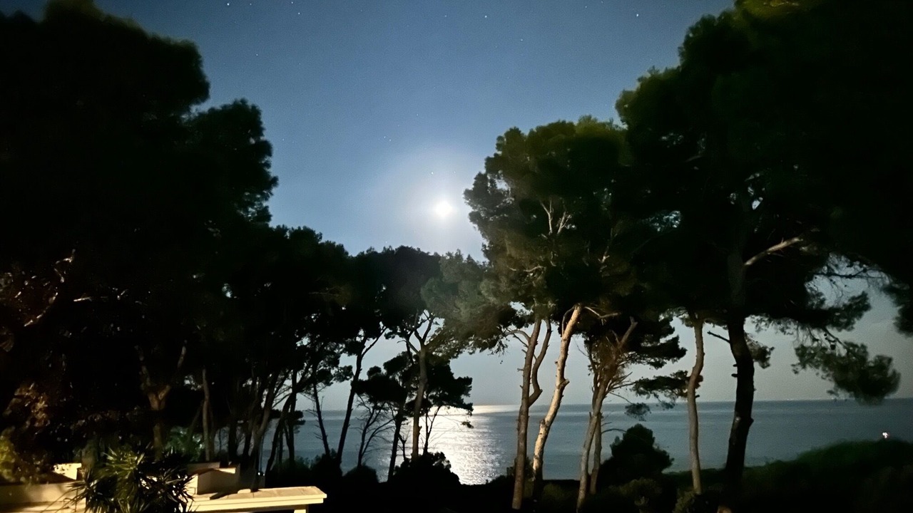 Photo of Others in Taranto