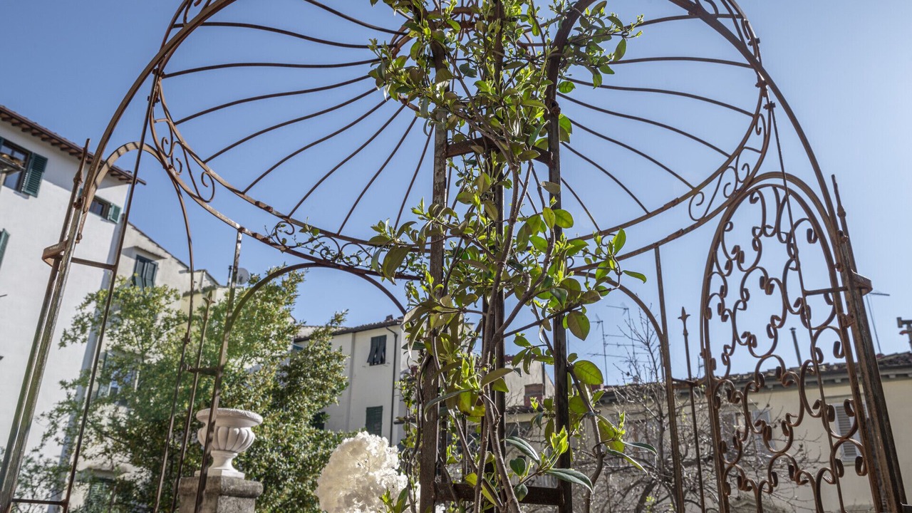 Photo of Outdoor in Santa Maria Novella
