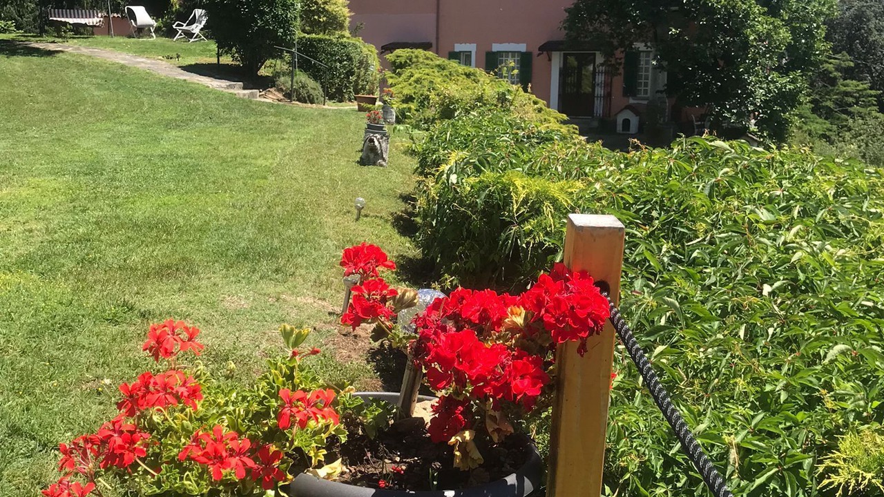Photo of Outdoor in Vacciago