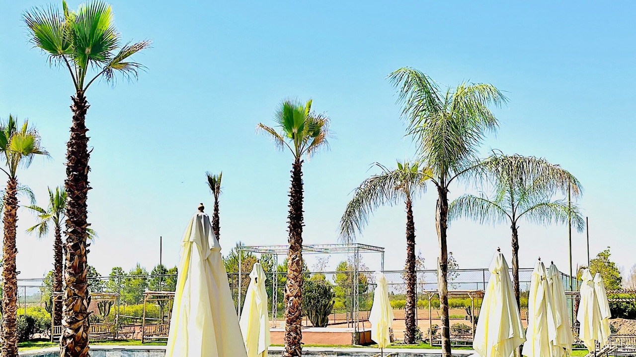 Photo of Outdoor in Zaouia Sidi Rhalem