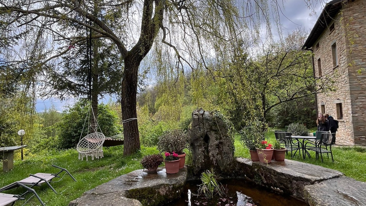 Photo of Outdoor in Pietralunga