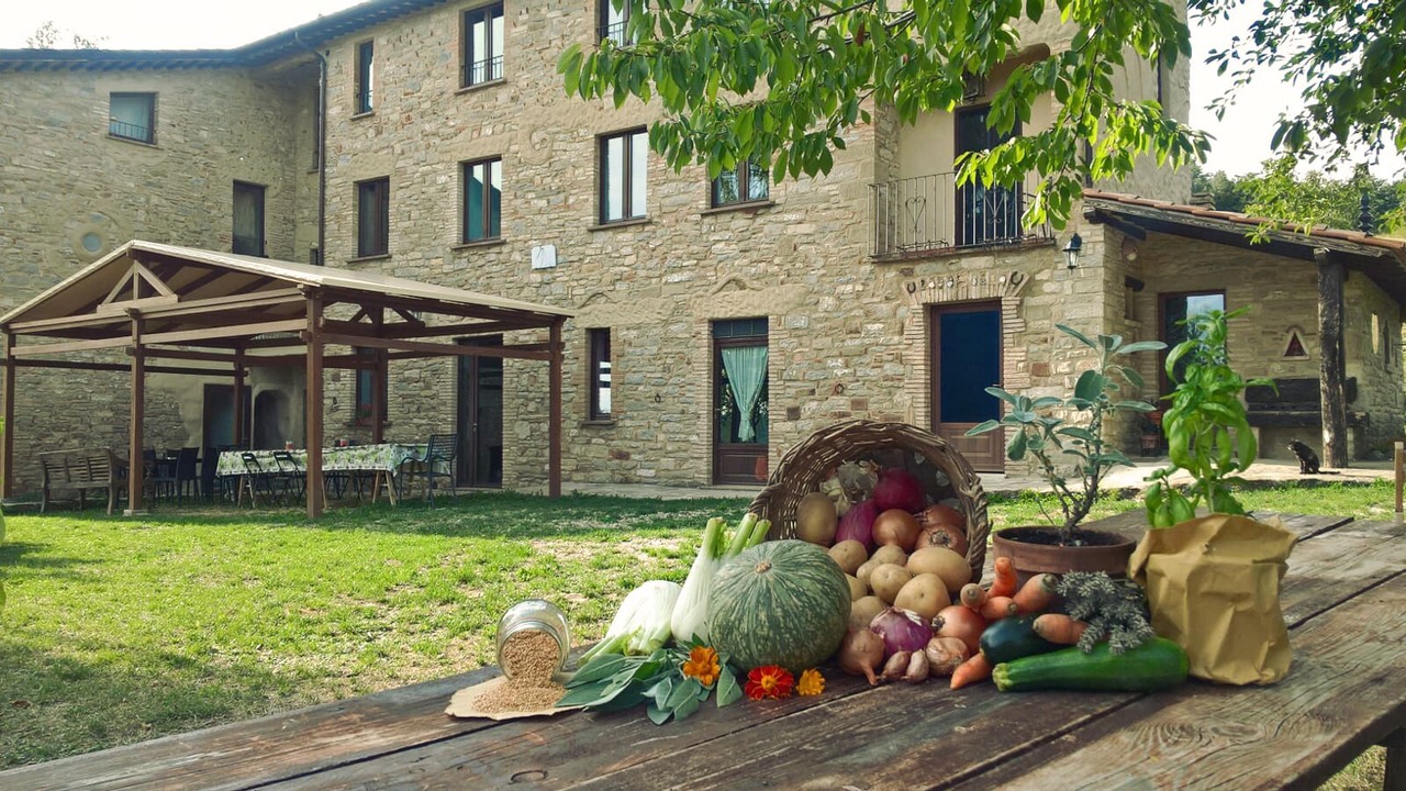Photo of Outdoor in Pietralunga