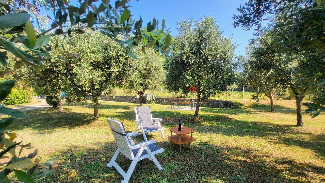 Photo of Outdoor in Mologno