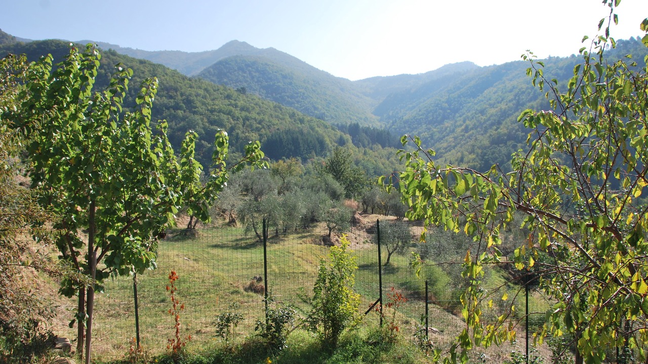 Photo of Others in Bivio Pozzo