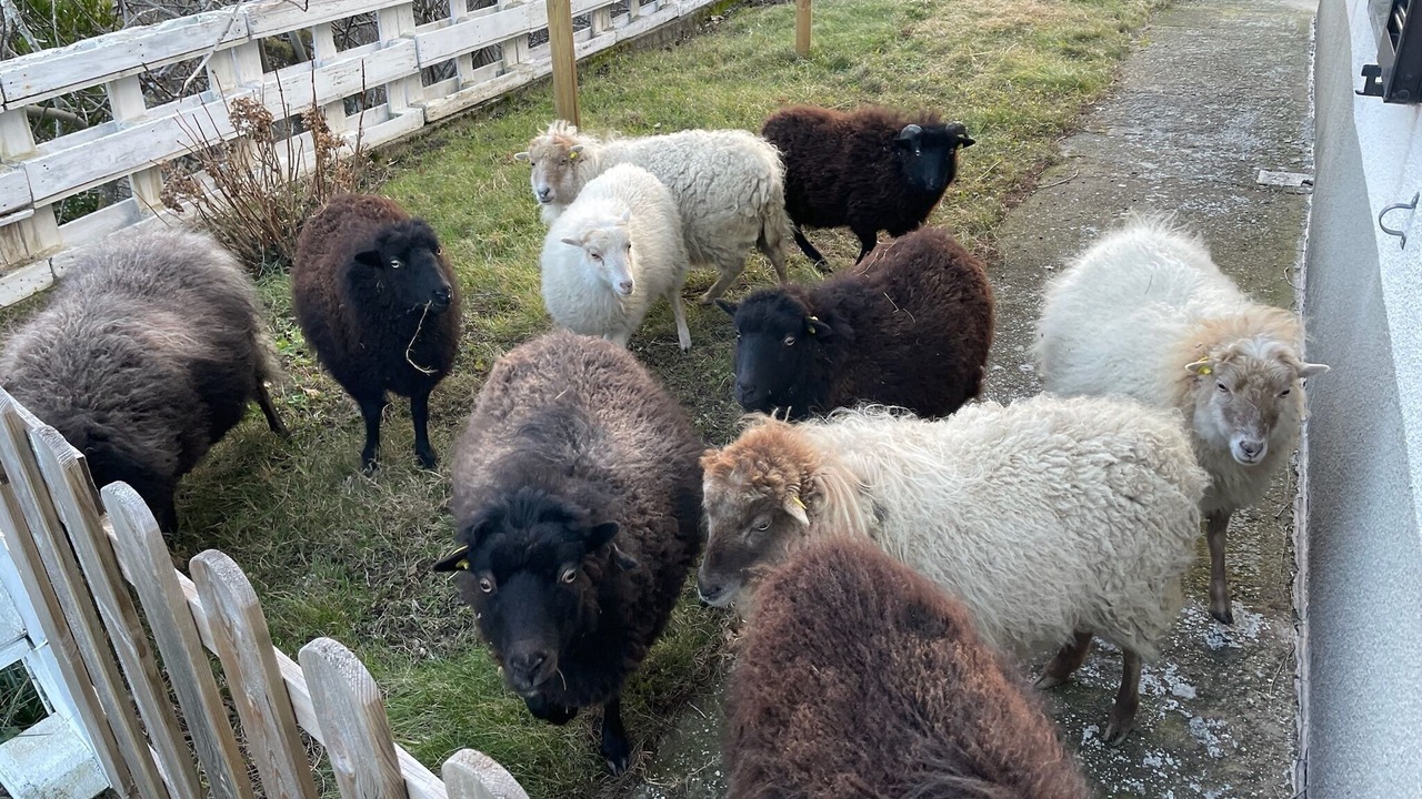Photo of Outdoor in Borgo Val di Taro