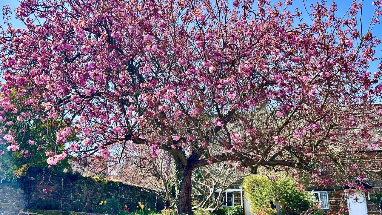 Photo of Outdoor in Eydon
