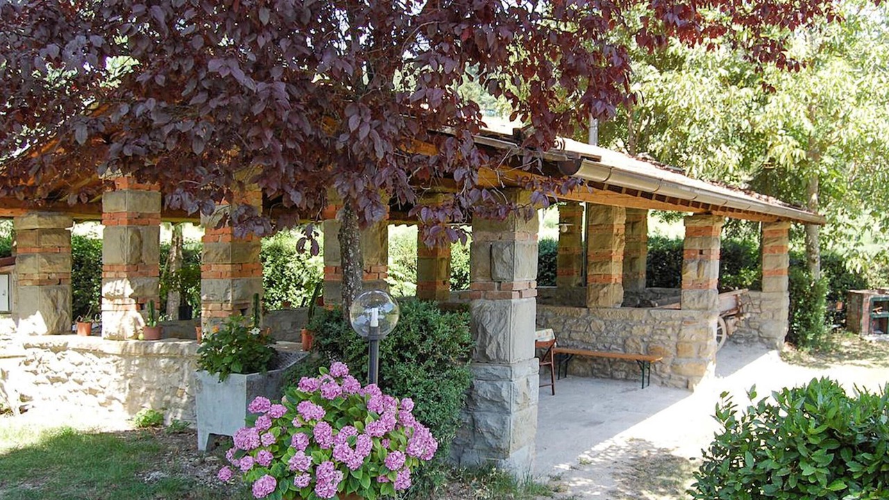 Photo of Others in Starda