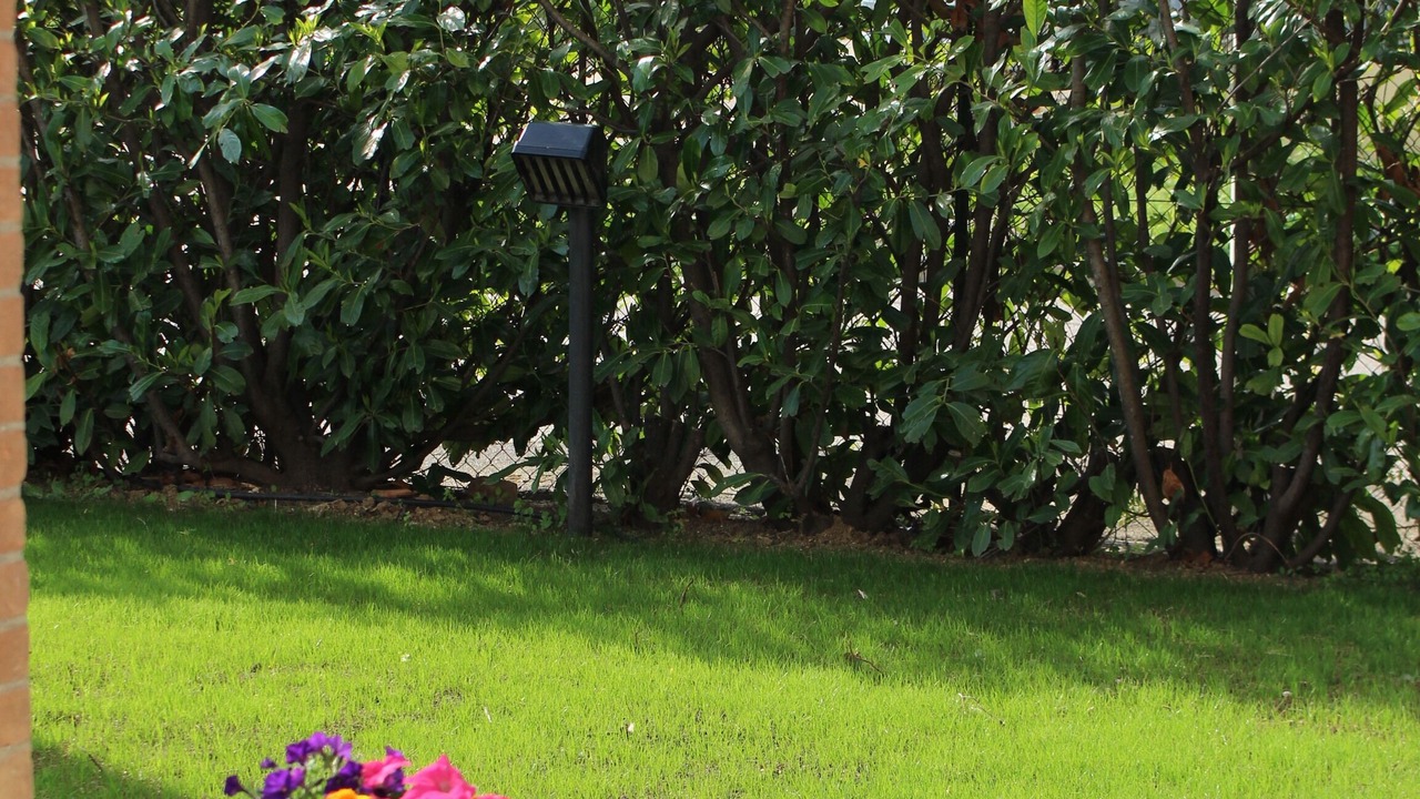 Photo of Outdoor in Loreto Aprutino