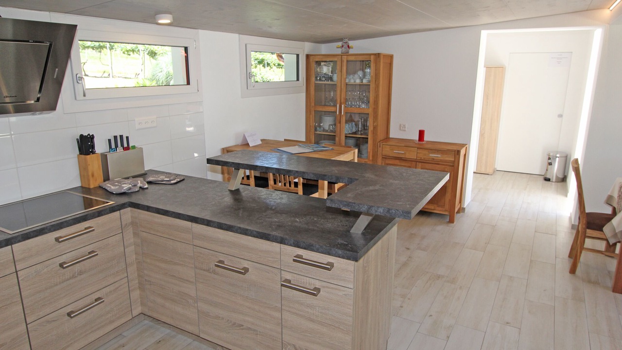 Photo of Kitchen in Brione sopra Minusio