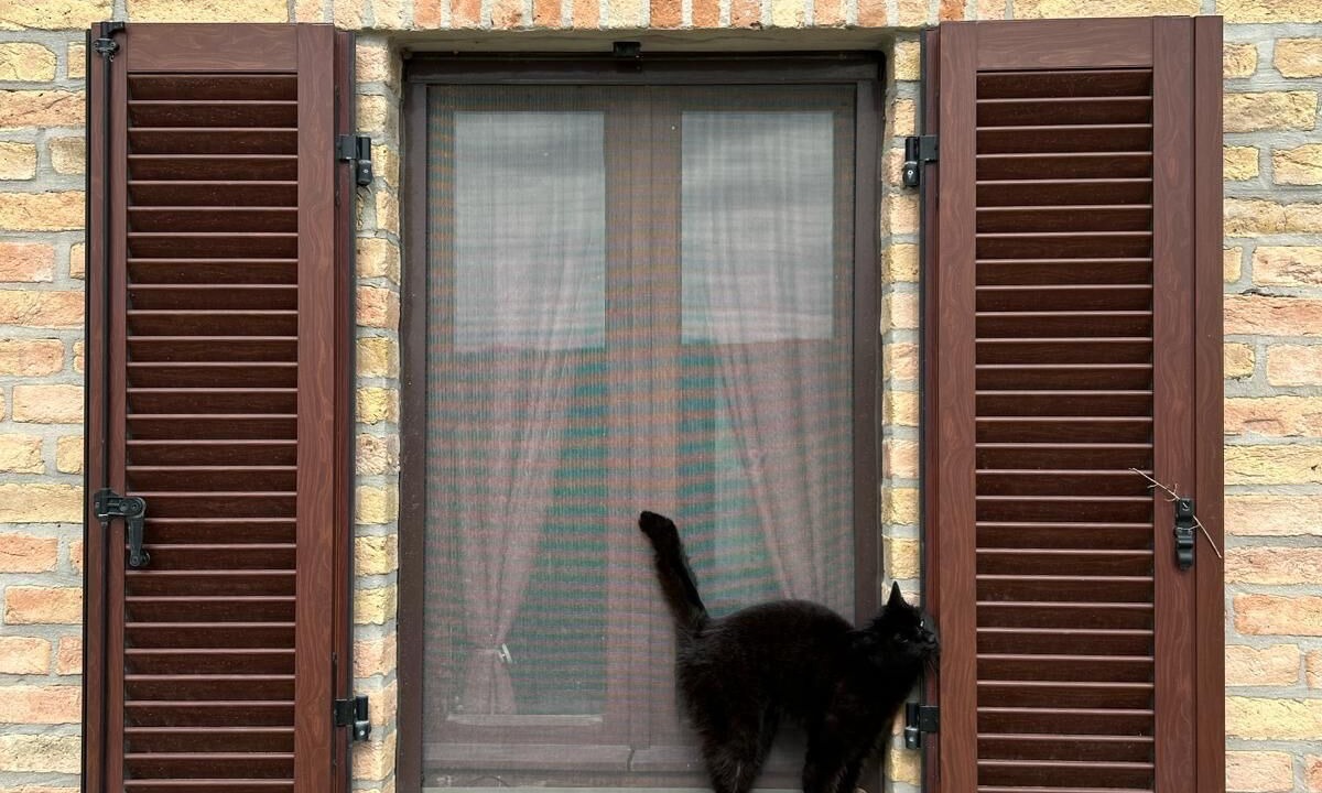 Photo of Outdoor in Jesi